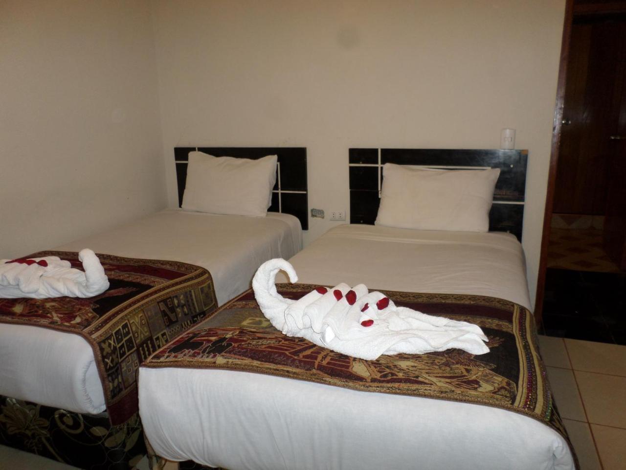 Hotel New Day Machu Picchu à Aguas Calientes Extérieur photo